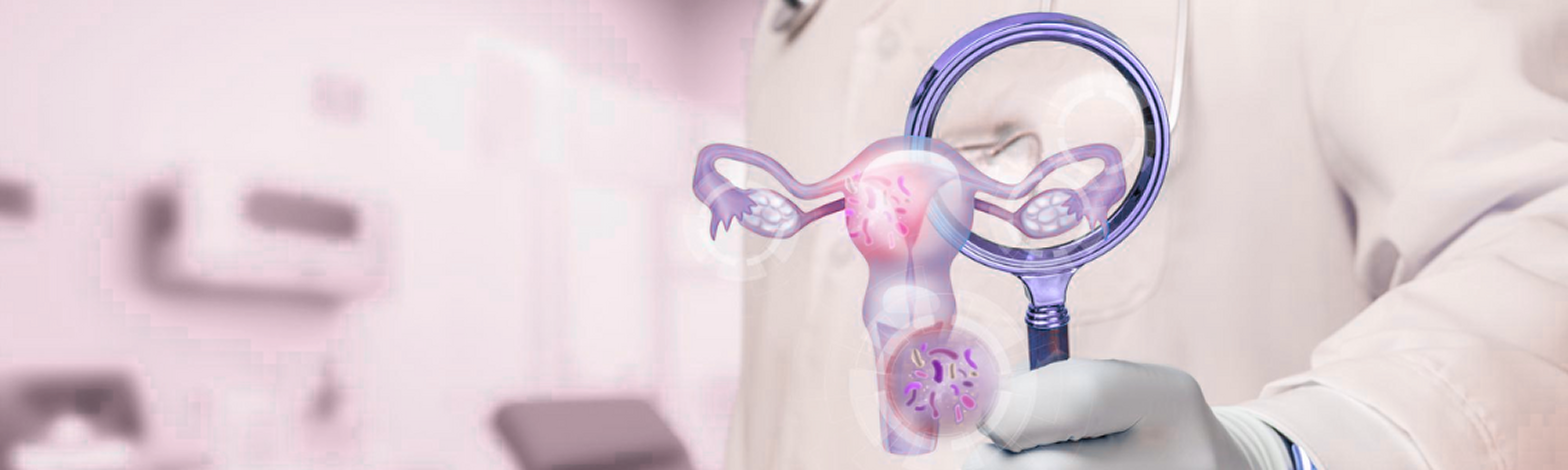 banner-image