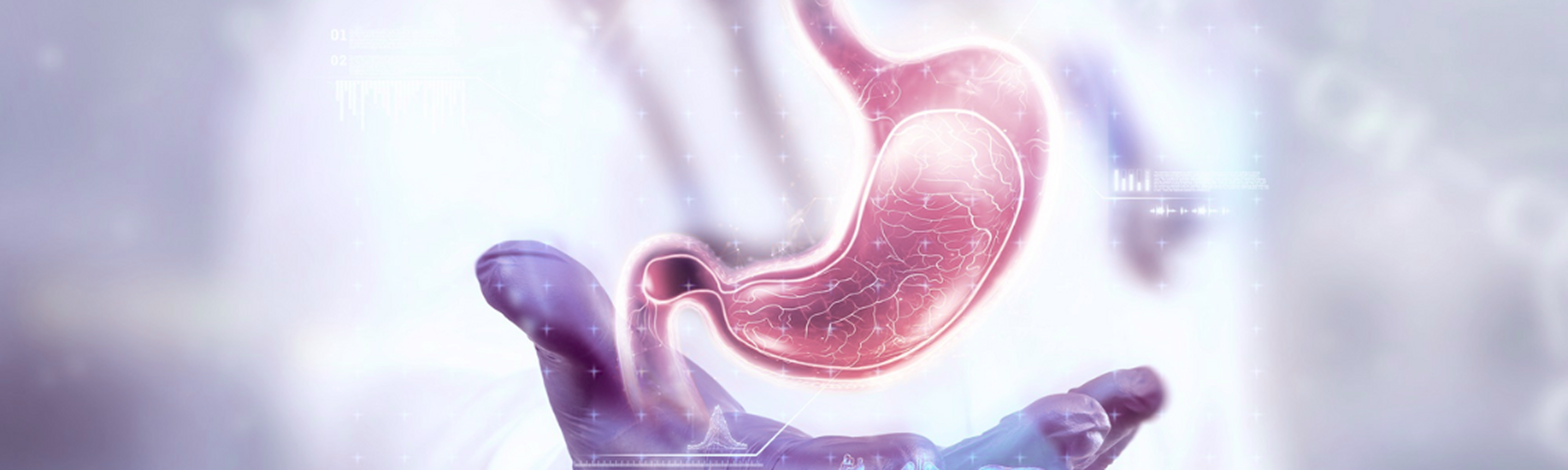 banner-image