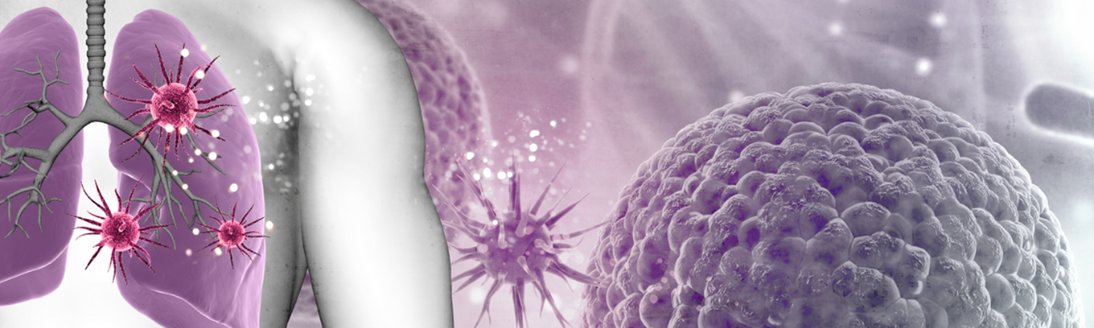banner-image