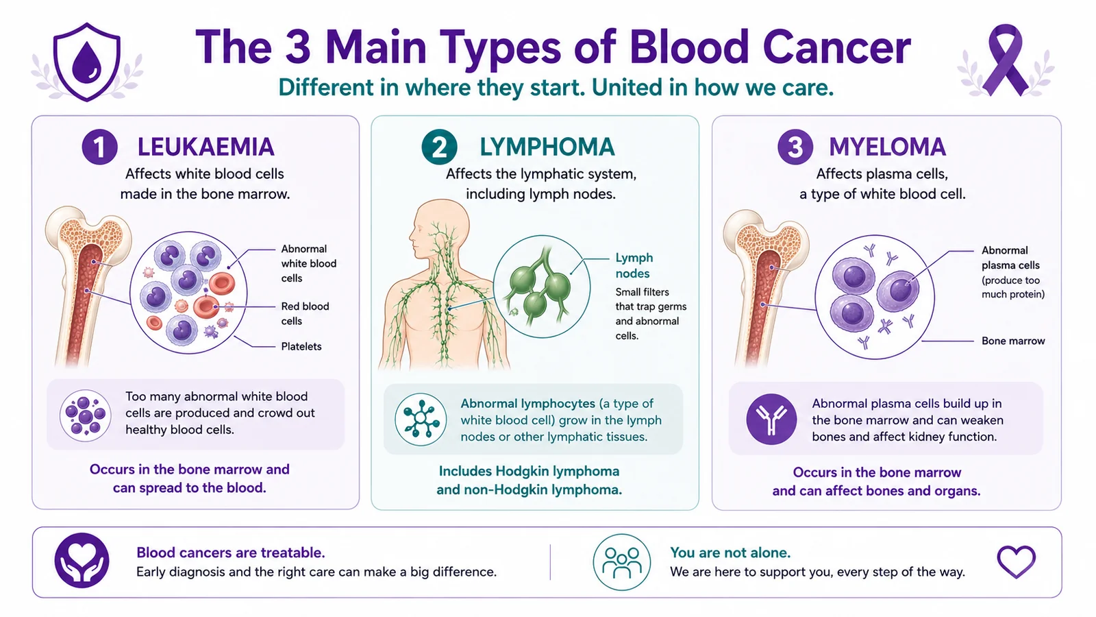 The three main types of blood cancer — leukaemia, lymphoma and myeloma