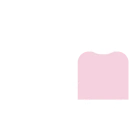 icon logo
