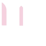 icon logo