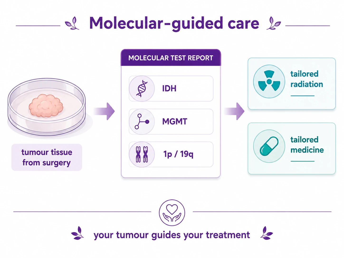 Diagram showing molecular-guided brain-tumour care - tumour tissue from surgery tested for markers such as IDH, MGMT and 1p/19q to tailor radiation and medicine - CION Cancer Clinics Hyderabad