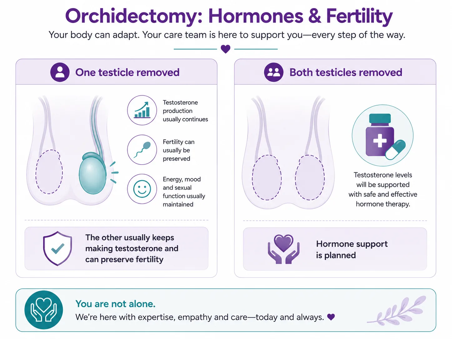 Orchidectomy hormones and fertility infographic — with one testicle removed the other usually maintains testosterone and fertility; if both are removed, hormone therapy is planned, CION Cancer Clinics Hyderabad