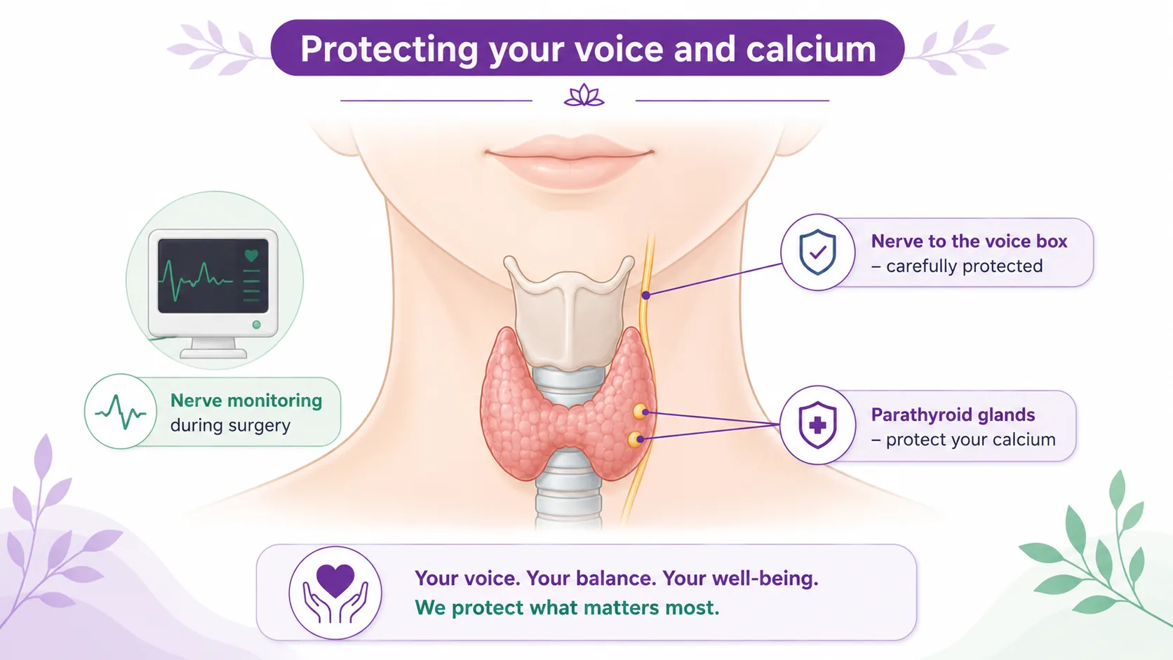 Diagram showing how the nerve to the voice box and the parathyroid glands that manage calcium are protected during a thyroidectomy, with nerve monitoring used during surgery