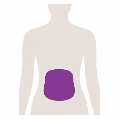 A torso diagram with the abdomen marked, where a target sits deep behind other organs