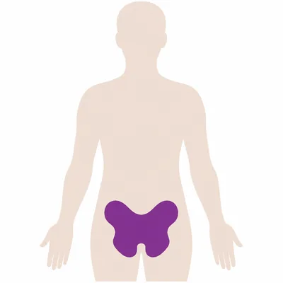 A body diagram with the pelvic bones marked, a site where a bone biopsy needle is used