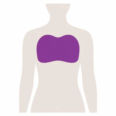 A torso diagram with the chest marked, the commonest site for a CT-guided biopsy