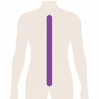 A body diagram with the spine marked, where deep lymph nodes sit near the spine