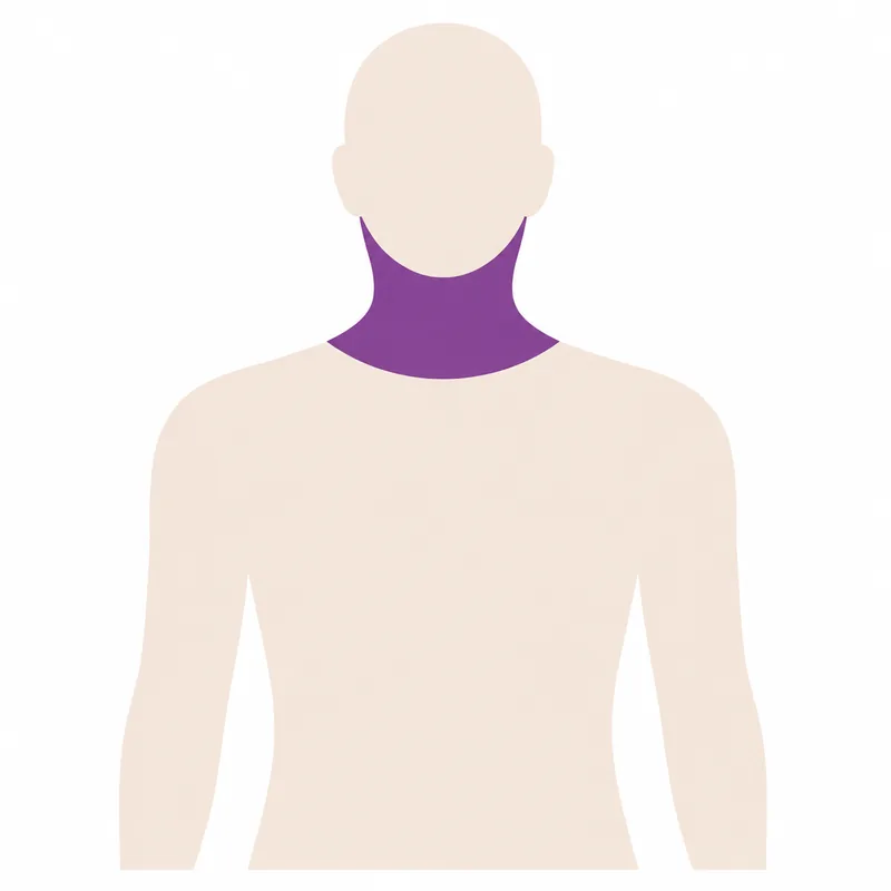Body diagram with the neck and thyroid marked, the commonest site for an ultrasound-guided biopsy
