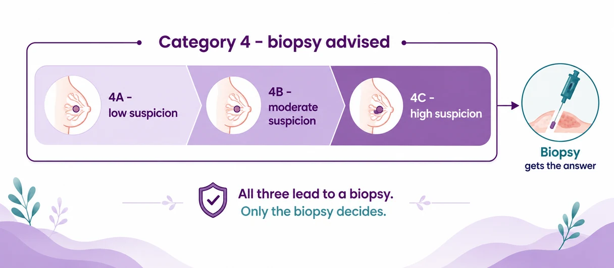 BI-RADS category 4A, 4B and 4C explained as three levels of suspicion - CION Cancer Clinics