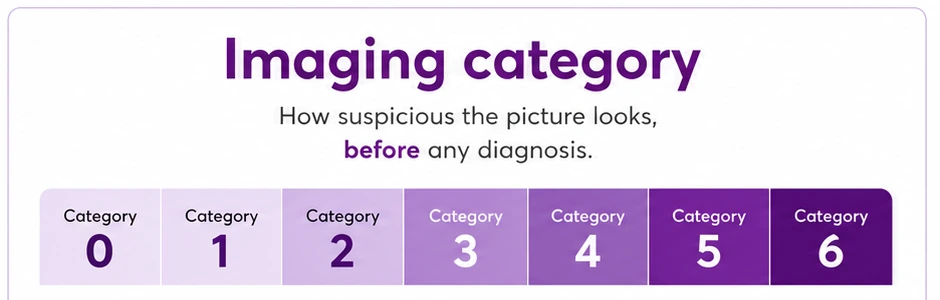 The BI-RADS imaging categories 0 to 6 - how suspicious the picture looks, before any diagnosis - CION Cancer Clinics