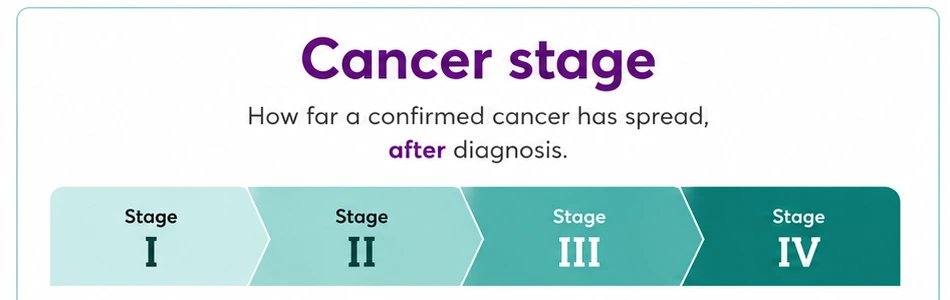 Breast cancer stages 1 to 4 - how far a confirmed cancer has spread, after diagnosis - CION Cancer Clinics