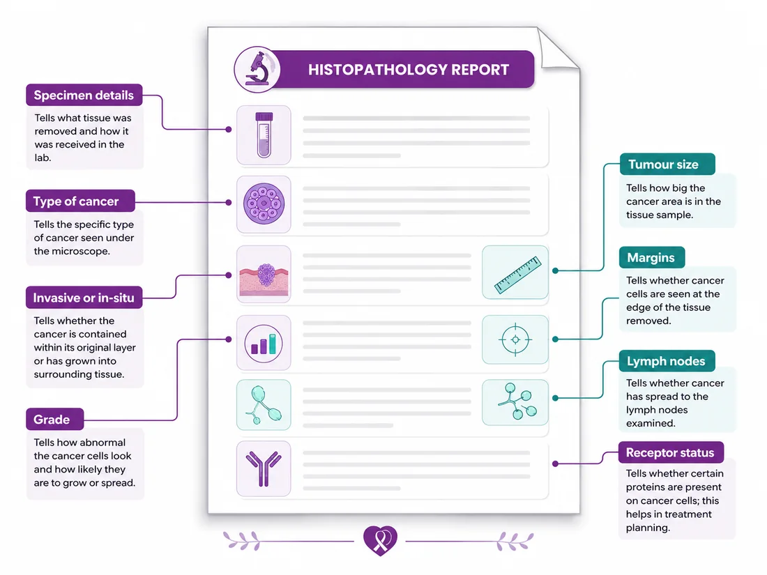 Labelled guide to the sections of a breast biopsy report - CION Cancer Clinics, Hyderabad