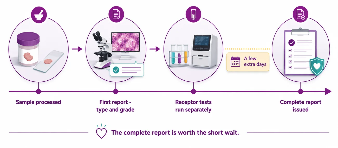Why a complete breast biopsy report takes a few extra days - CION Cancer Clinics