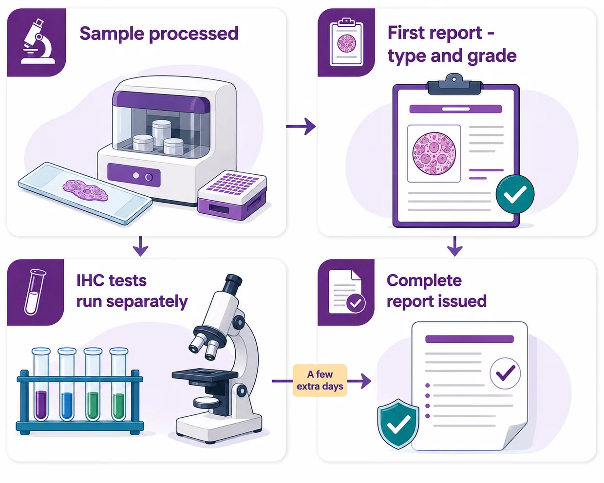 Why a complete breast biopsy report takes a few extra days - CION Cancer Clinics