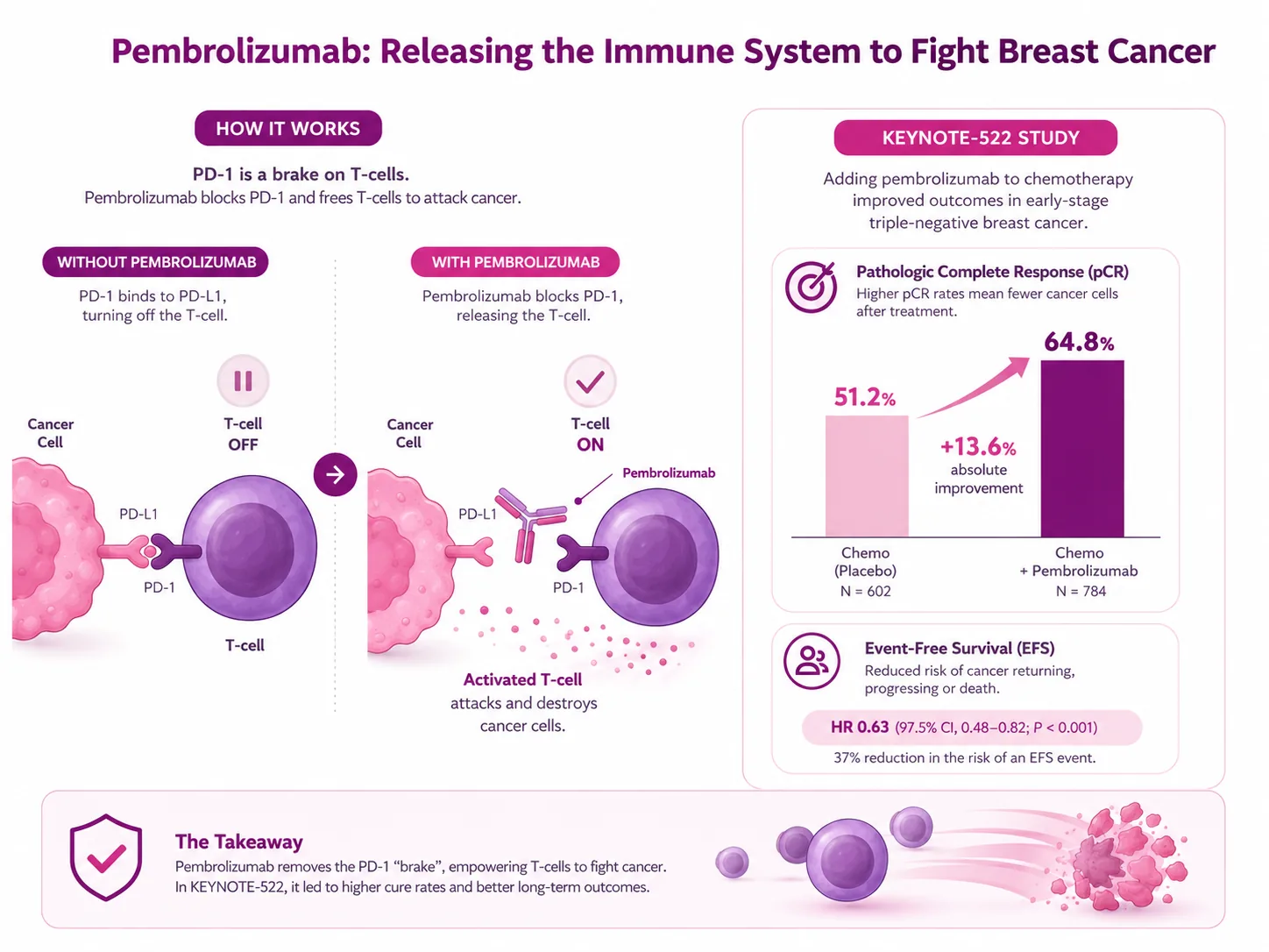 How pembrolizumab works: without the drug a cancer cell's PD-L1 protein binds PD-1 on the T-cell and switches the T-cell off; with pembrolizumab the drug blocks PD-1 so the T-cell is released and attacks the cancer. Alongside, the KEYNOTE-522 study shows pathological complete response rising from 51.2% with chemotherapy alone to 64.8% with chemotherapy plus pembrolizumab in early-stage triple-negative breast cancer