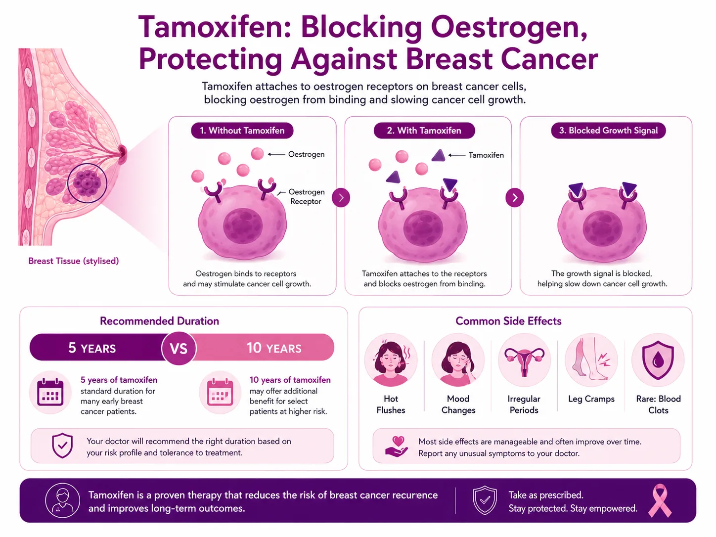 How tamoxifen works: without tamoxifen, oestrogen binds to oestrogen receptors on a hormone-receptor-positive breast cancer cell and may stimulate growth; with tamoxifen, the drug attaches to those receptors and blocks oestrogen; the growth signal is blocked, slowing cancer cell growth. The panel also compares 5 versus 10 years of treatment and common side effects.