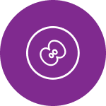 Reproductive
                    Cancers