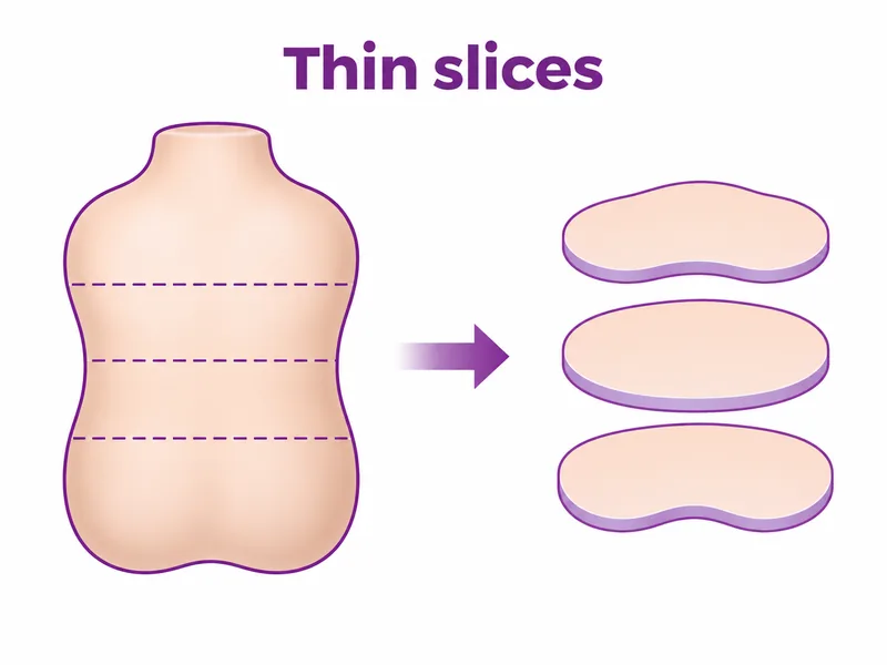 Diagram showing a body rebuilt as three separate cross-sectional slices - CION Cancer Clinics