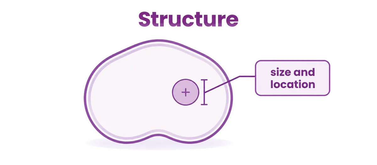 Diagram of a single cross-section with one marked spot being measured - CION Cancer Clinics