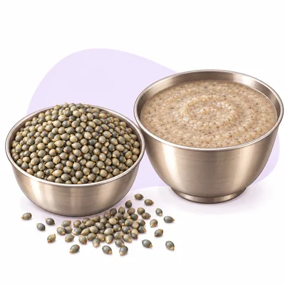 Illustration of pearl millet sajja grain and a bowl of warm sajja java - CION Cancer Clinics