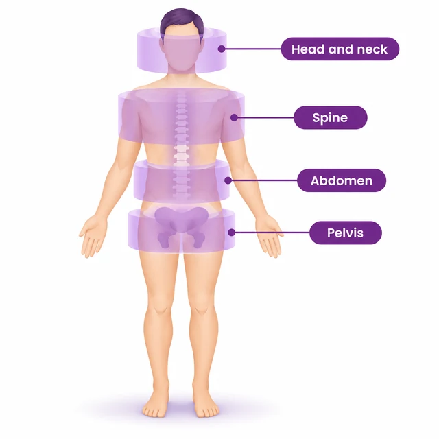 Diagram of the body regions a single MRI study can cover - CION Cancer Clinics