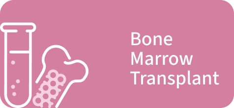 icon logo