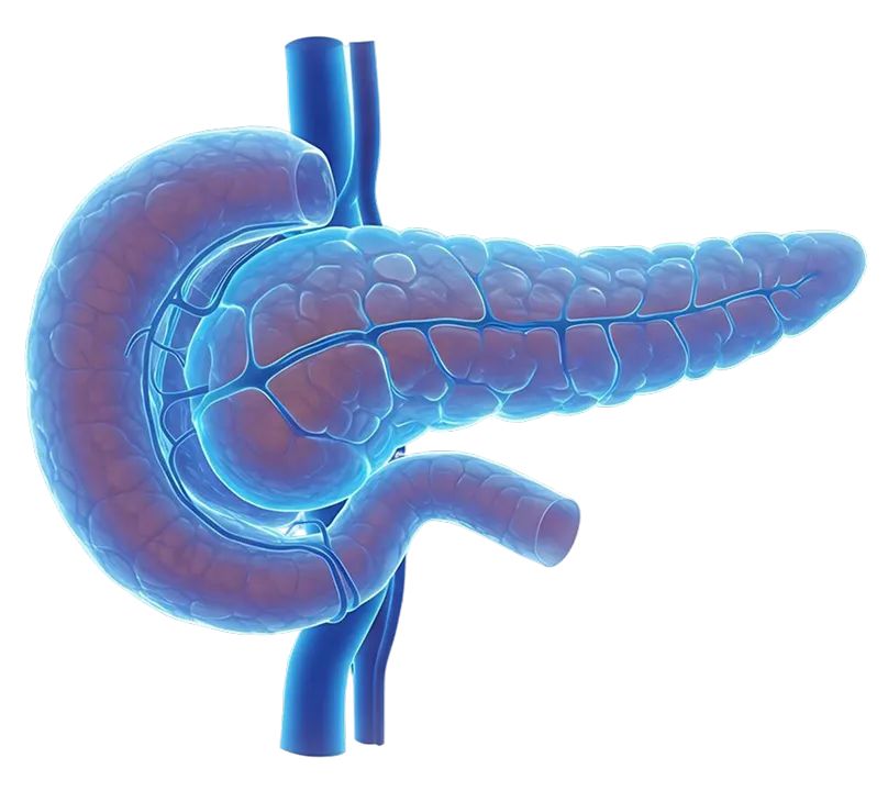 whipples symptoms