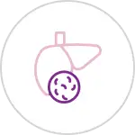 Liver Surgery