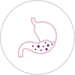 Stomach Surgery