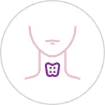 Thyroid Surgery