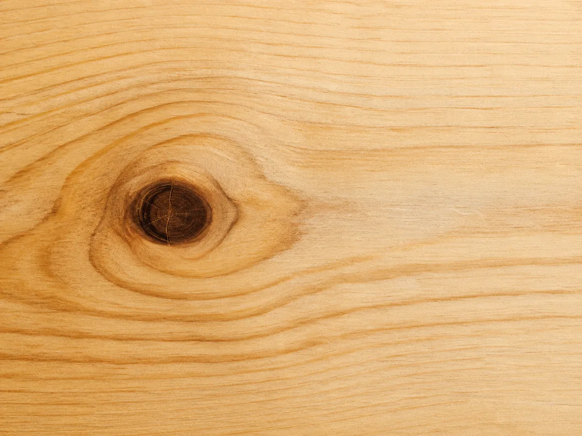 A knot grown into the grain of a plain wooden board